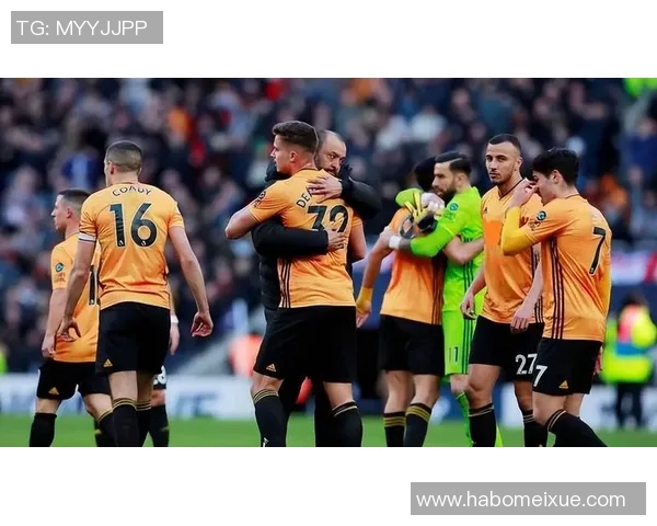 狼队0_2再负水晶宫，12轮不胜危机加剧