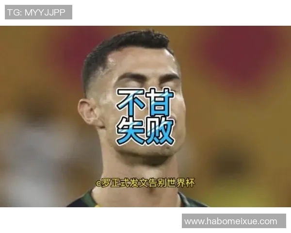世界杯宣传用图忘了C罗遭球迷批评，背后隐藏的深意与反思