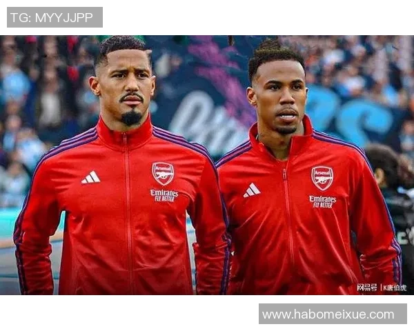 银河战舰新基石：加布里埃尔·萨利巴——维拉的后防铁闸与未来之星